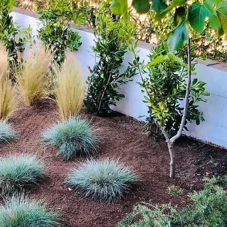 Boutique Art W9 度假居 奧爾比亞