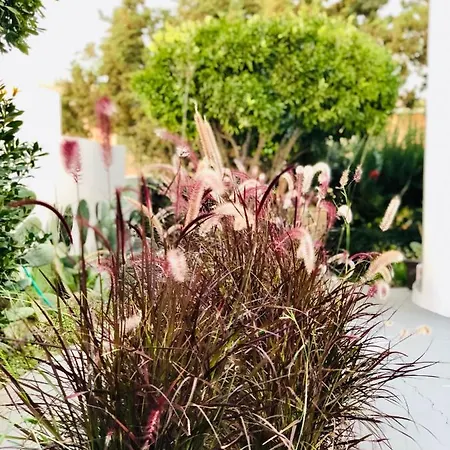 Boutique Art W9 度假居 奧爾比亞