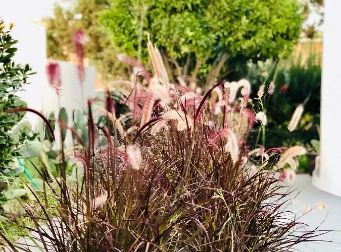 Boutique Art W9 Σπίτι διακοπών Όλμπια