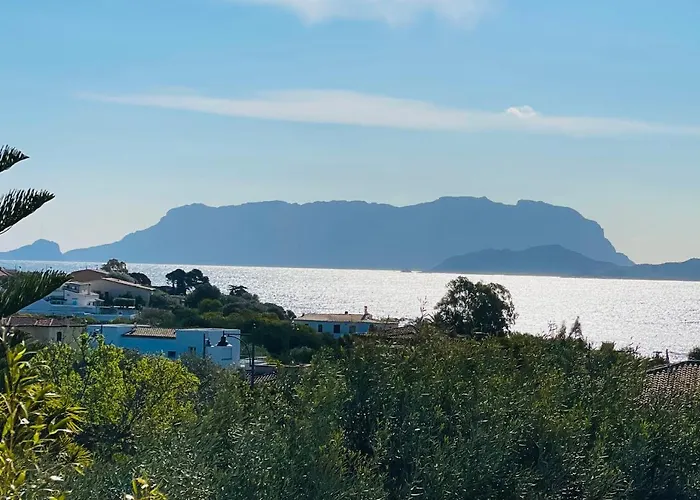 Boutique Art W9 * Όλμπια